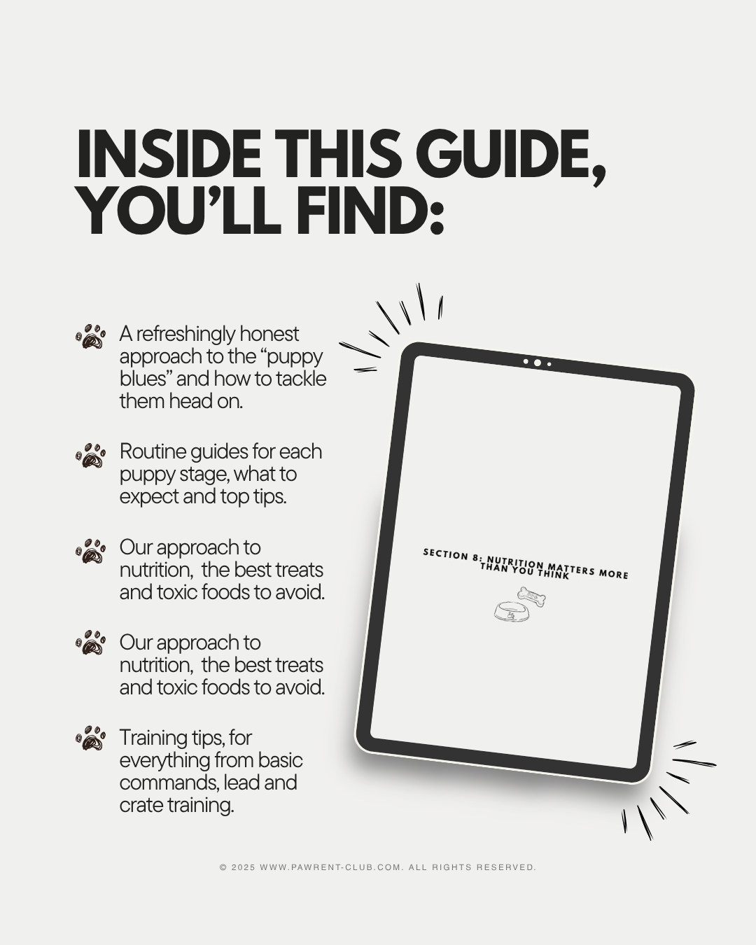 Surviving the Puppy Stage: A Guide for New Dog Owners (PDF eBook)